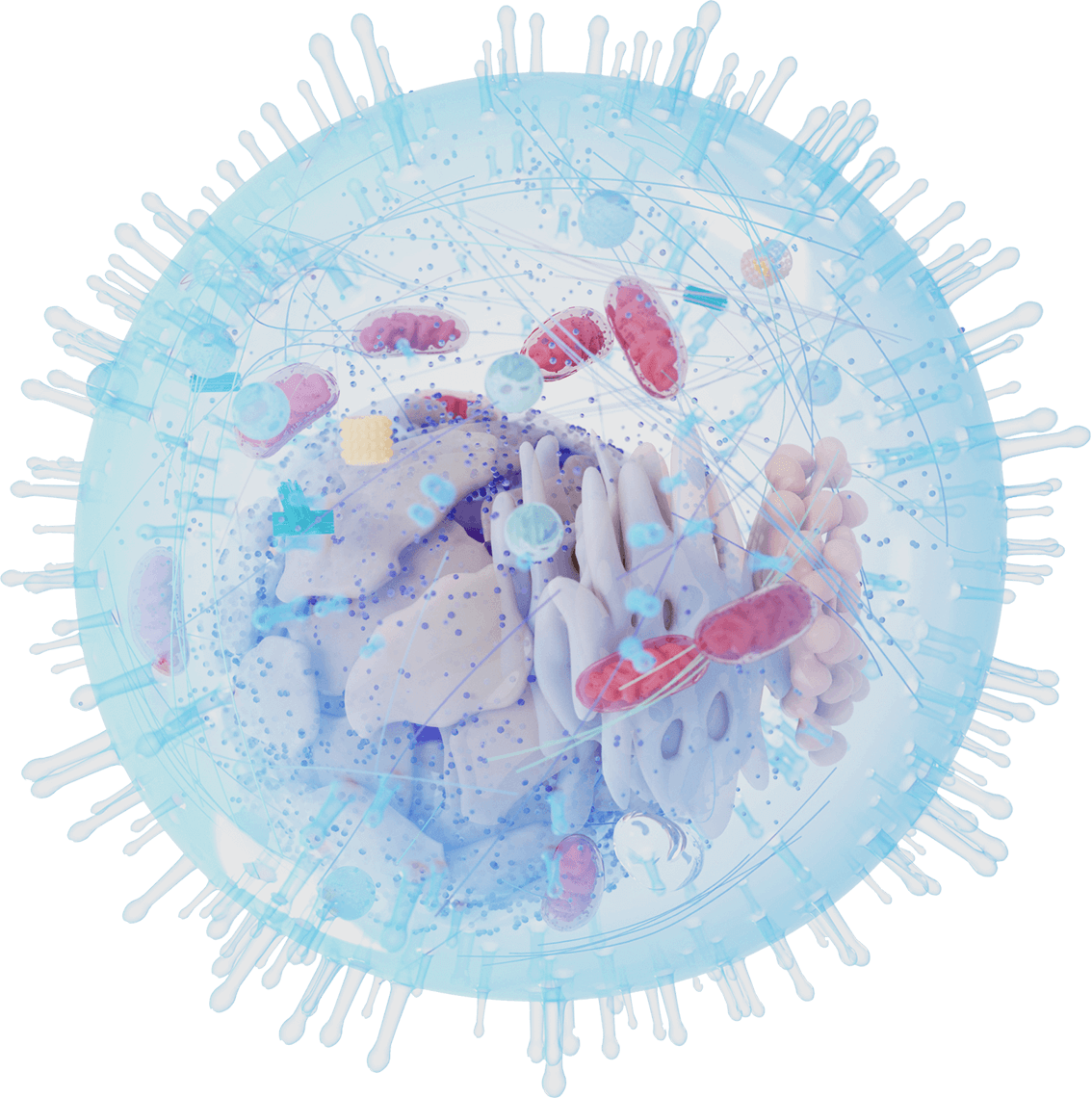 Pulsed Pulse Therapy The BLine Chiropractic Clinic